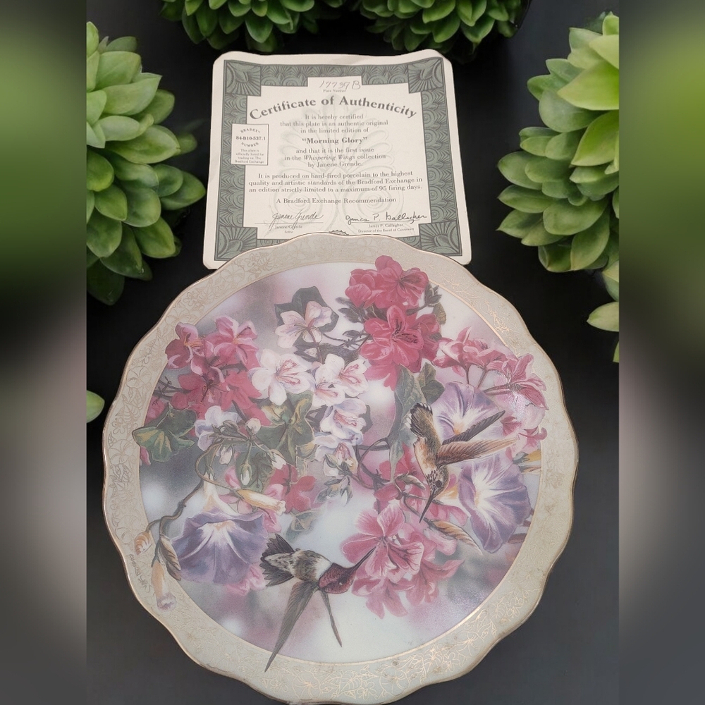 Plate Morning glory hummingbird vintage